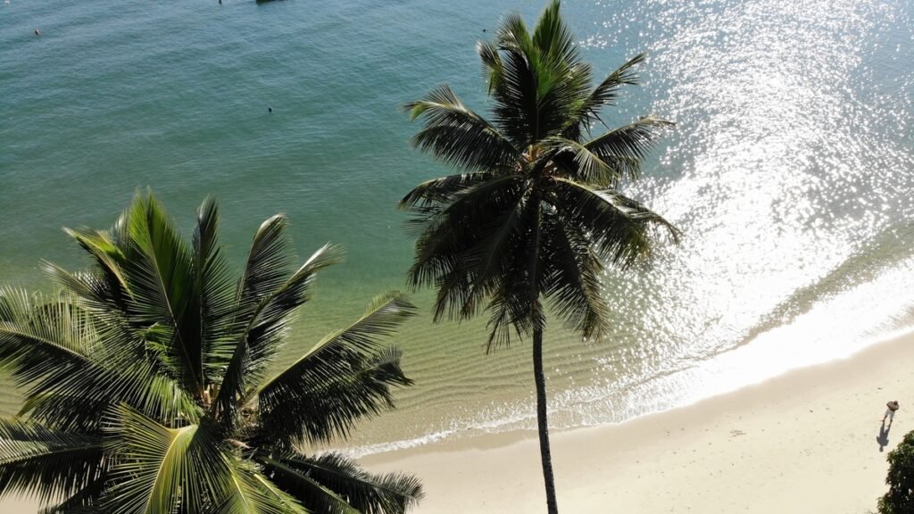 Praia da Estopa, Ilha de Jaguanum, Mangaratiba — foto 005